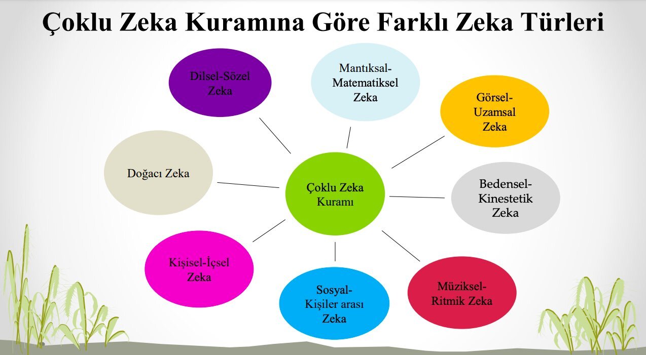 Çoklu Zeka Kuramı Zeka Türleri