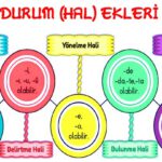 Durum (Hal) Ekleri ismin durum hal ekleri
