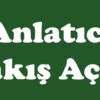 Roman ve Hikayede Anlatıcı