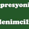 Empresyonizm Akımı (izlenimcilik)