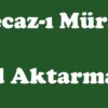 Mecazı Mürsel (Ad Aktarması)
