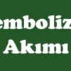 Sembolizm Akımı (Simgecilik)
