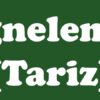 Tariz (iğneleme-sitem) Sanatı