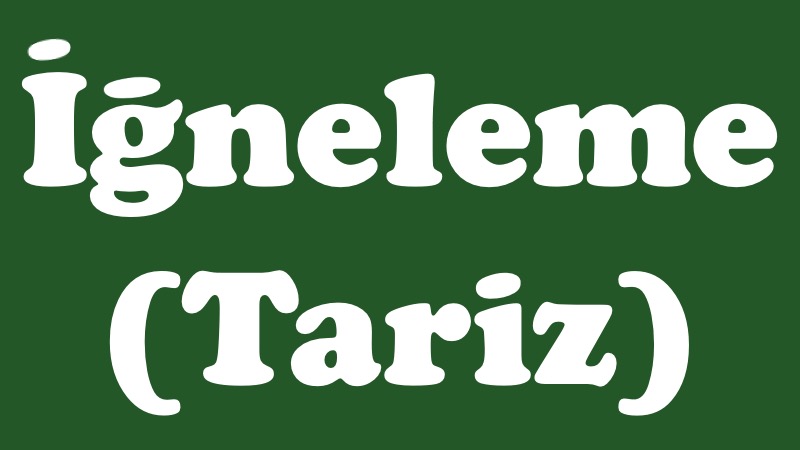 Tariz (iğneleme-sitem) Sanatı Tariz Igneleme Sitem Sanati Ornegi Ornekleri