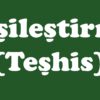 Teşhis (Kişileştirme) Sanatı