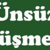 Ünsüz Düşmesi